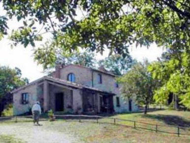 Foto Cessione attività a Scansano Centro di 300 m² in vendita