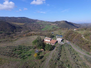 Foto Cessione attività in loc ortacci, Scansano di 482 m² con 14 locali