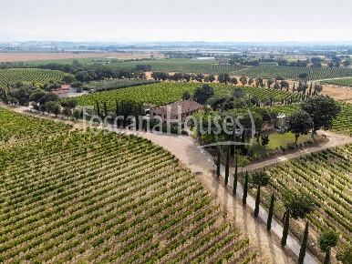 Foto Cessione attività a Montepulciano Centro di 3900 m² con 40 locali