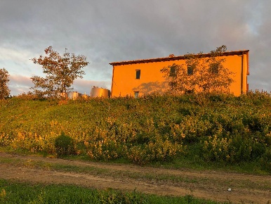 Foto Cessione attività in sp 39 58051, Scansano di 210 m² con 10 locali