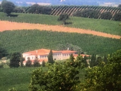 Foto Ristorante a Scansano Centro di 600 m² in vendita