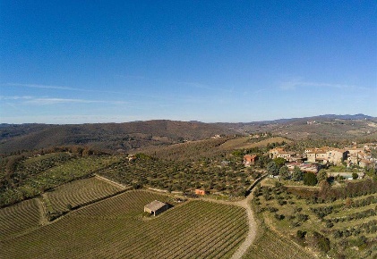 Foto Cessione attività a Gaiole in Chianti Centro di 955 m² con 10 locali