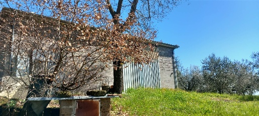 Foto Laboratorio a Montefiascone di 130 m² con 1 locali in vendita