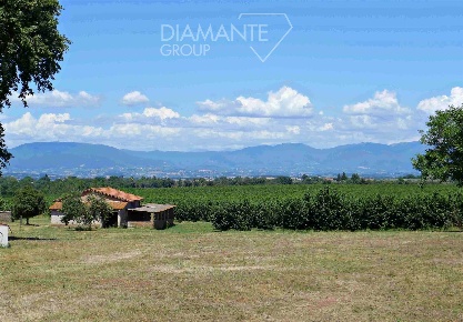Foto Cessione attività a Castel Sant'Elia Centro di 1740 m² con 10 locali