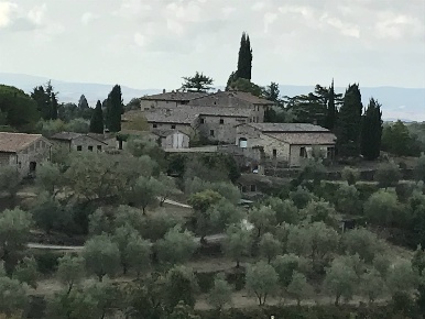 Foto Cessione attività a Castelnuovo Berardenga Centro con 25 locali