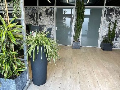 Foto Ufficio a Pistoia Vergine di 200 m² con 5 locali in affitto