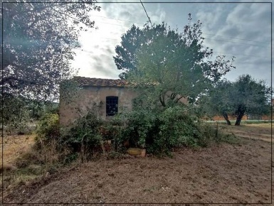 Foto Struttura sanitaria a Castagneto Carducci di 3044 m² con 1 locali