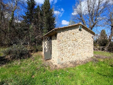 Foto Struttura sanitaria a Cetona Centro di 17 m² con 1 locali in vendita