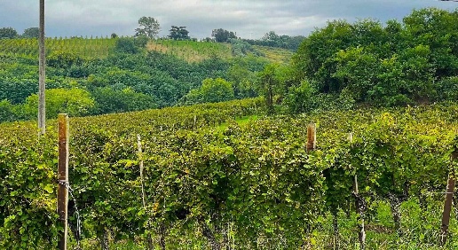 Foto Agriturismo a Vo' Vò Vècchio di 750 m² con 30 locali in vendita