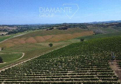 Foto Cessione attività a Montalcino Centro di 1841 m² con 15 locali