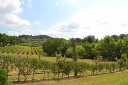Foto Agriturismo in via s.giuseppe, Montecarlo di 750 m² con 18 locali