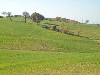 Foto Cessione attività a Scansano Centro di 200 m² in vendita