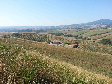Foto Cessione attività a Abbadia San Salvatore di 300 m² con 6 locali