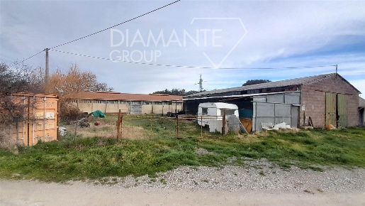 Foto Cessione attività a Pomarance Centro di 650 m² con 6 locali in vendita