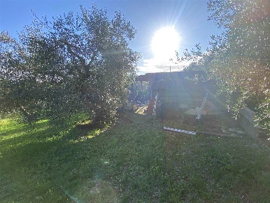 Foto Struttura sanitaria a Follonica Area Rurale, Poggio Tre Cancelli