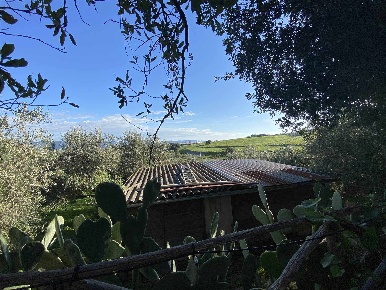 Foto Struttura sanitaria a Follonica Area Rurale, Poggio Tre Cancelli