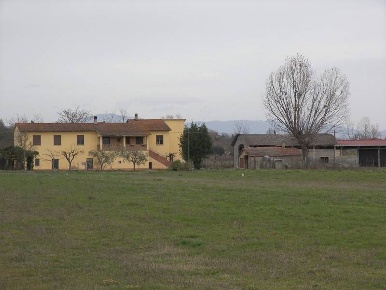 Foto Cessione attività a Torrita di Siena di 1160 m² con 10 locali