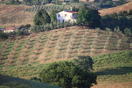 Foto Cessione attività a Campagnatico di 553 m² con 10 locali in vendita