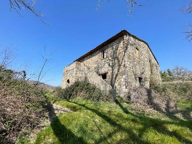 Foto Cessione attività a Riparbella con 30 locali in vendita