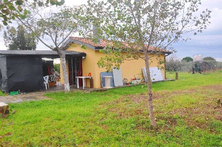 Foto Struttura sanitaria in Stradone del Tripesce, Rosignano Marittimo Vada