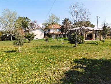 Foto Cessione attività a Grosseto La Principina di 180 m² con 8 locali