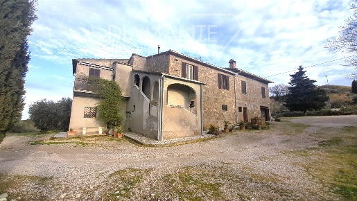 Foto Cessione attività a Cinigiano Centro di 940 m² con 9 locali in vendita