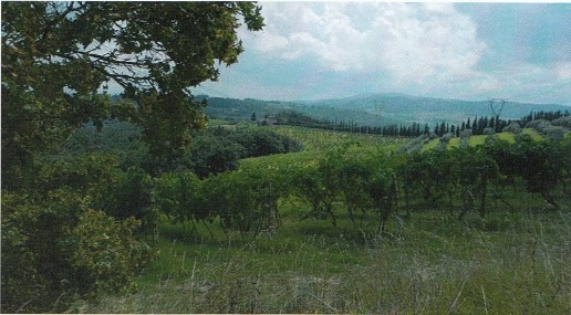 Foto Cessione attività a Gambassi Terme Centro di 1500 m² con 16 locali