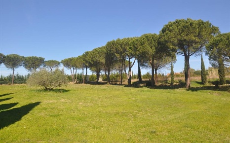 Foto Struttura sanitaria a Rosignano Marittimo Rosignano Marittimo Paese