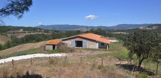 Foto Struttura sanitaria in Strada Vicinale di Faltona, Bibbona di 430 m²