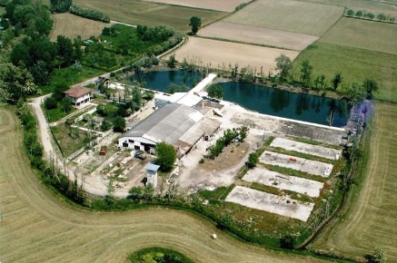 Foto Attività commerciale a Arzago d'Adda Centro di 27000 m² in vendita