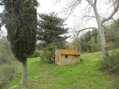 Foto Struttura sanitaria a Montescudaio di 9 m² con 1 locali in vendita