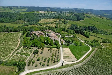 Foto Cessione attività a Castellina in Chianti Centro di 5380 m² in vendita