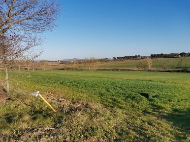 Foto Cessione attività a Castiglione del Lago Pozzuolo con 1 locali