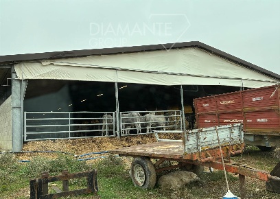 Foto Cessione attività a Monte San Savino Centro di 1125 m² con 1 locali
