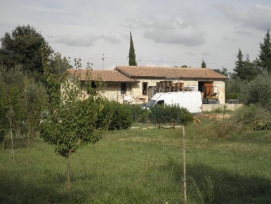 Foto Cessione attività a Montescudaio di 450 m² in vendita