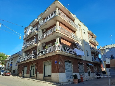 Foto Negozio in Via Dell'Olmo 24, Castellana Grotte Castellana di 220 m²