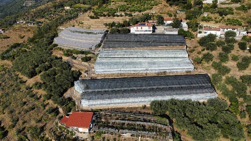 Foto Cessione attività a San Biagio della Cima di 46440 m² con 10 locali