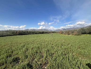 Foto Agriturismo a Olevano sul Tusciano Monticelli di 12000 m² con 1 locali