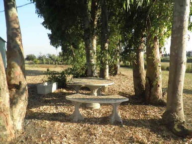 Foto Struttura sanitaria a Rosignano Marittimo Vada di 105 m² con 2 locali