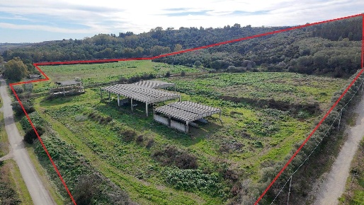 Foto Cessione attività a Tursi con 1 locali in vendita