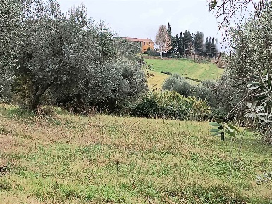 Foto Cessione attività in OLTRE LOCALITA' GRANAIONE, Cinigiano di 180 m²
