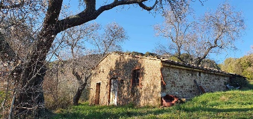 Foto Struttura sanitaria in Strada Provinciale 49, Pomarance di 50 m²