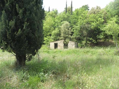 Foto Struttura sanitaria in Via del Gonnellino, Castellina Marittima