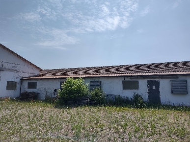 Foto Cessione attività a Motteggiana Zanetta di 500 m² con 1 locali