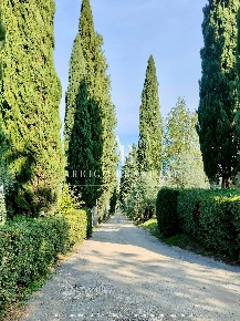 Foto Cessione attività a Scandicci Mosciano, Casignano, Giogoli di 2270 m²