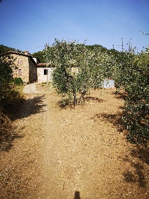 Foto Struttura sanitaria a Cavriglia di 1088 m² con 2 locali in vendita