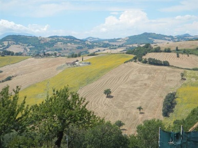 Foto Cessione attività a Arcevia in vendita