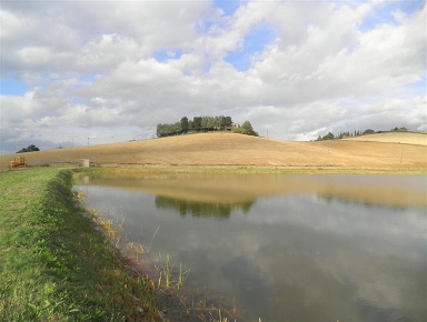 Foto Cessione attività in Località Maccetti, Rosignano Marittimo di 360 m²