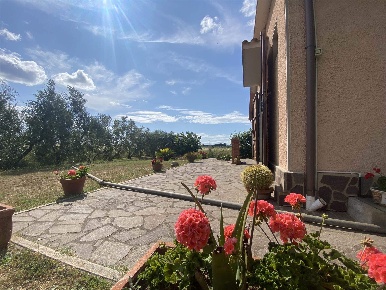 Foto Struttura sanitaria a Scarlino di 40 m² con 2 locali in vendita