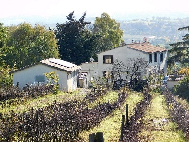 Foto Cessione attività a Campagnatico di 557 m² con 12 locali in vendita